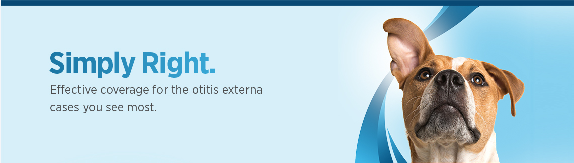 Simplera Header Image
